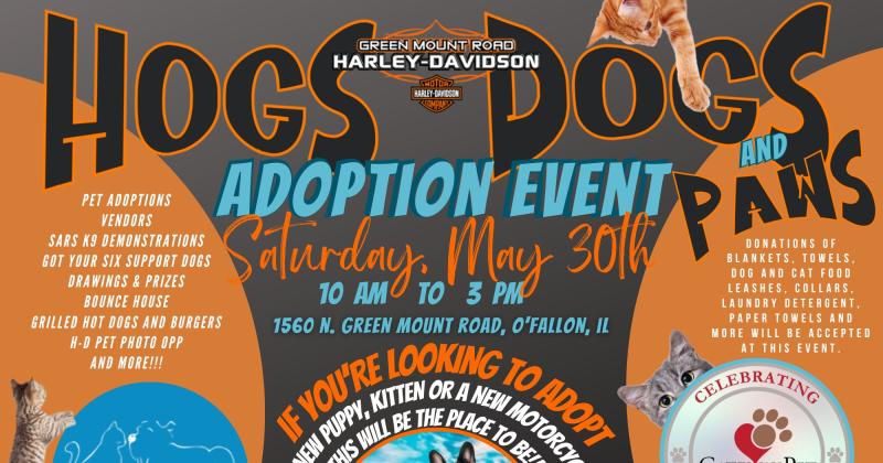 Hogs N Paws