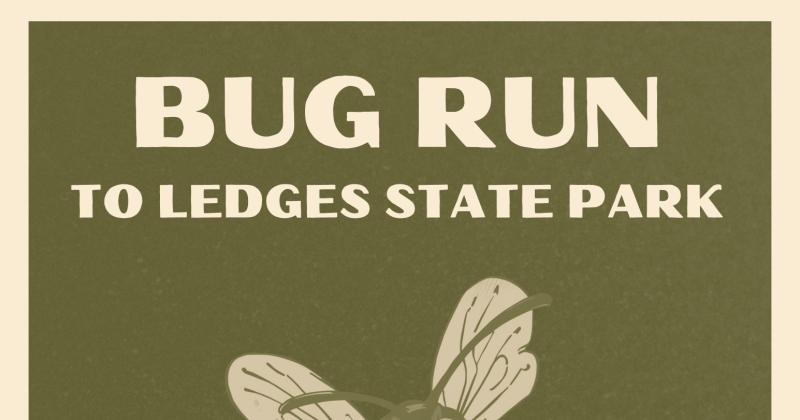 Big Barn H-D Bug Run