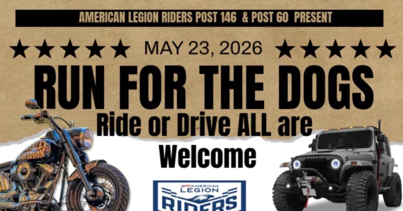 RUN FOR THE DOGS