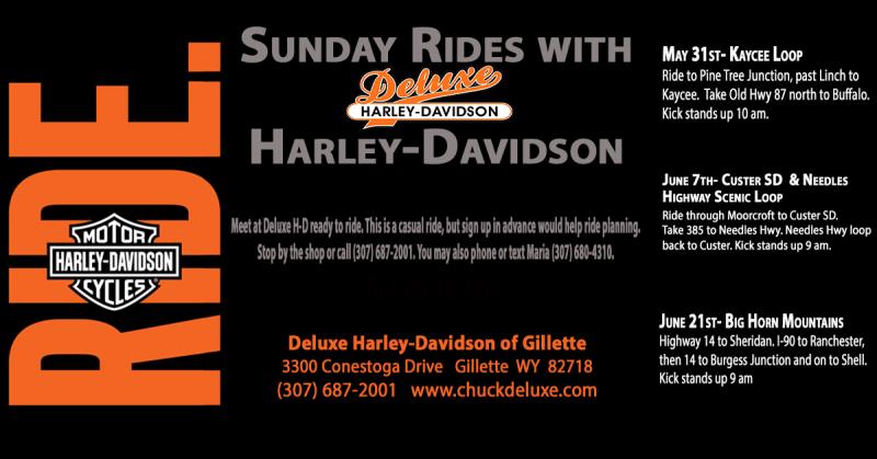 Sunday Ride with Deluxe Harley to Custer, SD & Needles Hwy