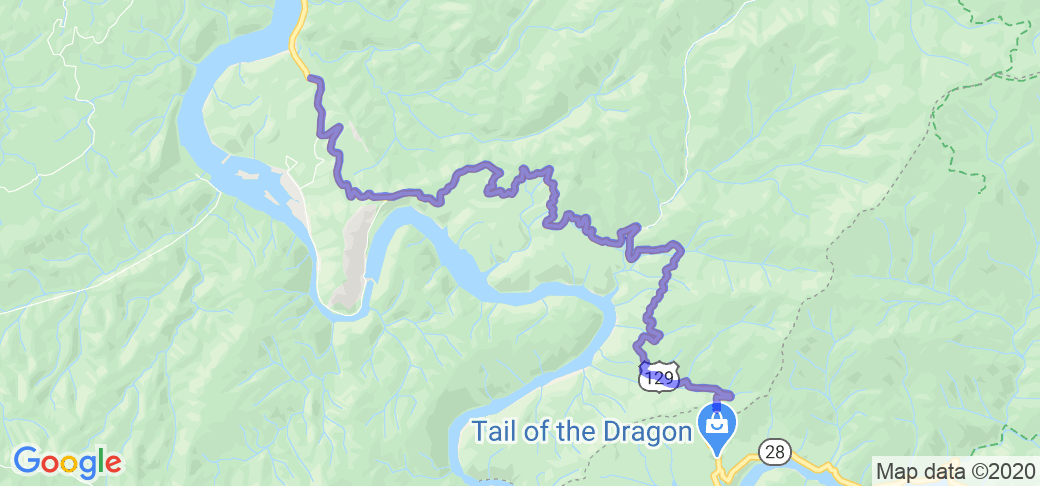 The Dragon